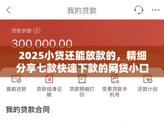 2025小贷还能放款的，精细分享七款快速下款的网贷小口子
