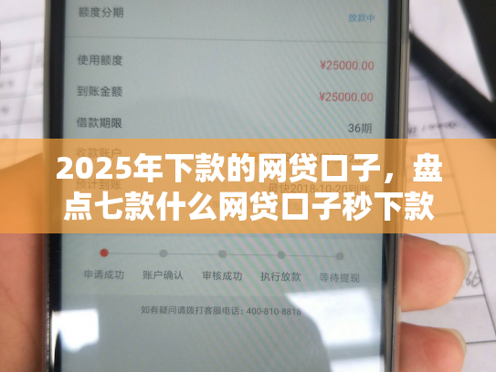 2025年下款的网贷口子，盘点七款什么网贷口子秒下款