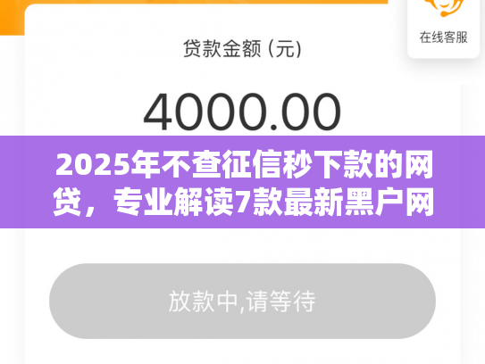 2025年不查征信秒下款的网贷，专业解读7款最新黑户网贷下款口子