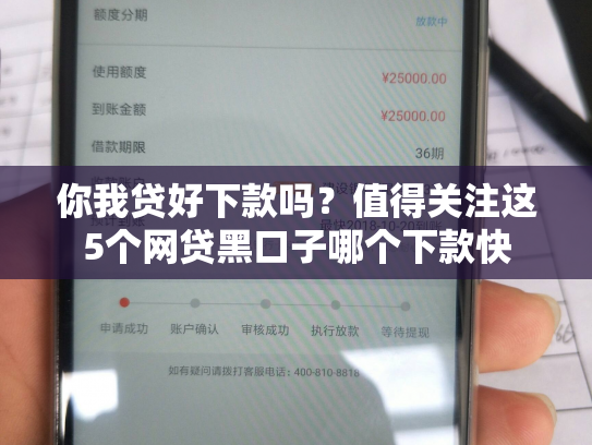 你我贷好下款吗？值得关注这5个网贷黑口子哪个下款快