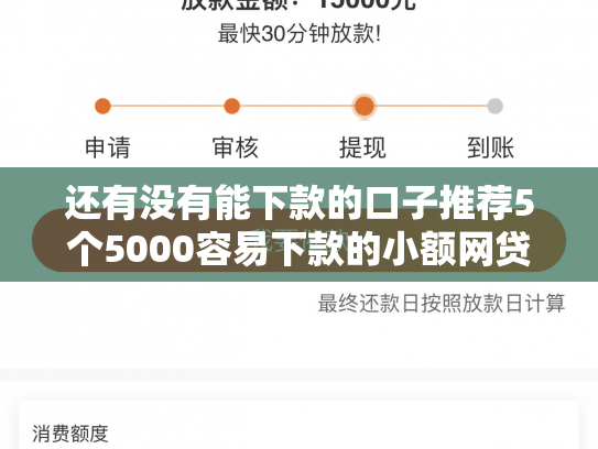 还有没有能下款的口子推荐5个5000容易下款的小额网贷口子