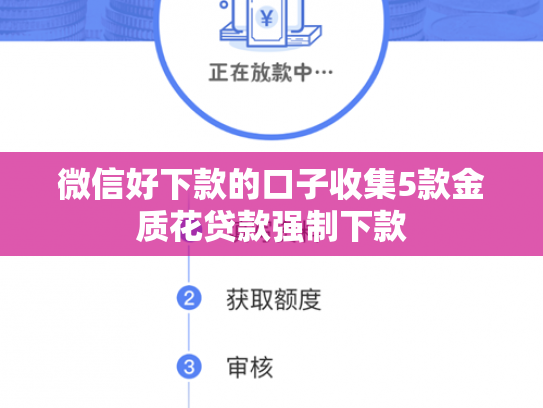微信好下款的口子收集5款金质花贷款强制下款