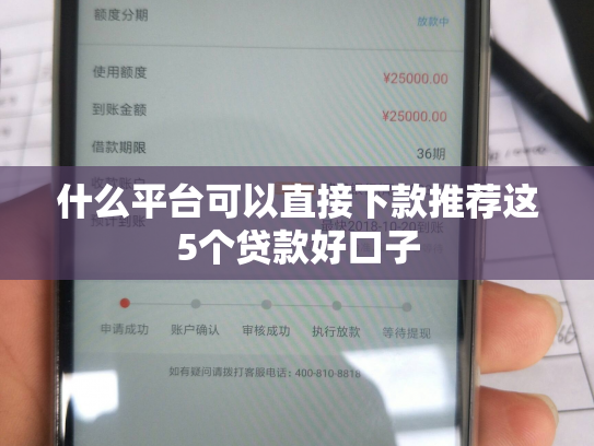 什么平台可以直接下款推荐这5个贷款好口子