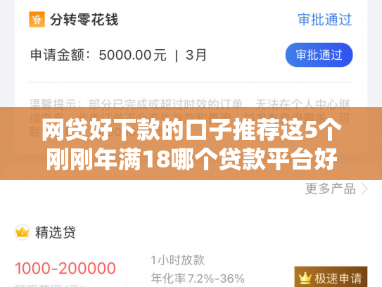 网贷好下款的口子推荐这5个刚刚年满18哪个贷款平台好下款
