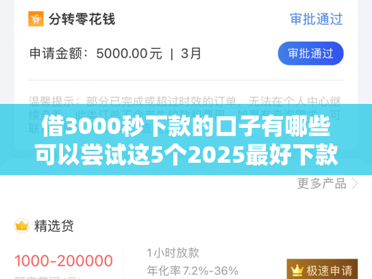 借3000秒下款的口子有哪些可以尝试这5个2025最好下款的网贷