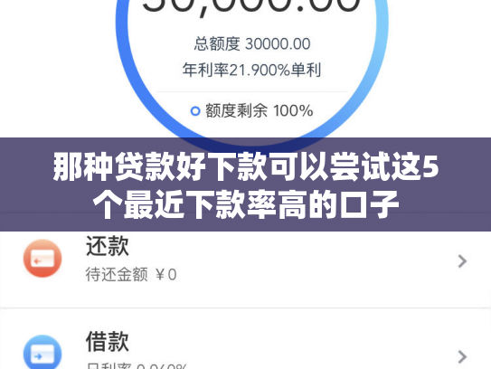 那种贷款好下款可以尝试这5个最近下款率高的口子