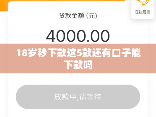 18岁秒下款这5款还有口子能下款吗