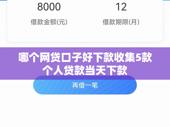 哪个网贷口子好下款收集5款个人贷款当天下款