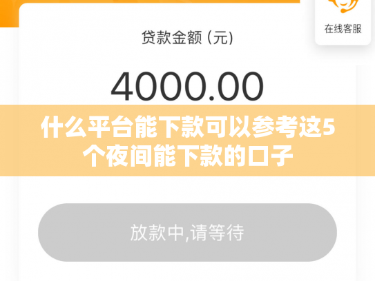 什么平台能下款可以参考这5个夜间能下款的口子