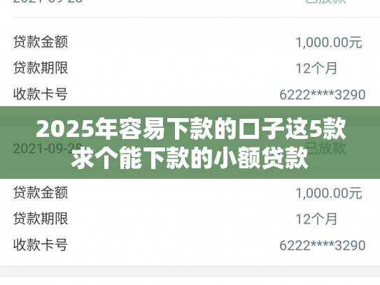 2025年容易下款的口子这5款求个能下款的小额贷款