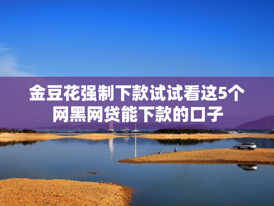 金豆花强制下款试试看这5个网黑网贷能下款的口子
