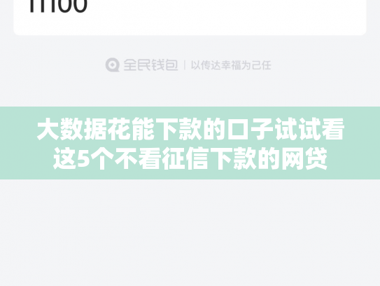 大数据花能下款的口子试试看这5个不看征信下款的网贷