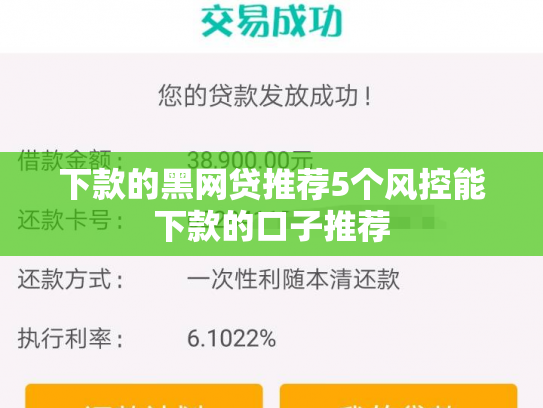 下款的黑网贷推荐5个风控能下款的口子推荐