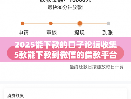 2025能下款的口子论坛收集5款能下款到微信的借款平台