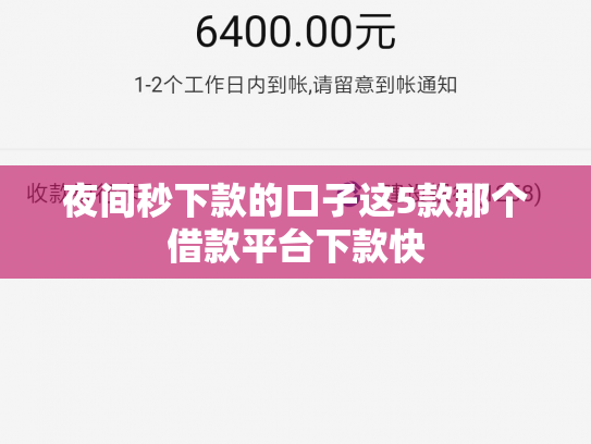 夜间秒下款的口子这5款那个借款平台下款快