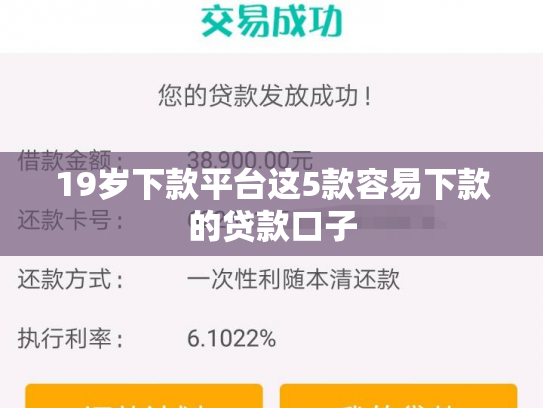 19岁下款平台这5款容易下款的贷款口子
