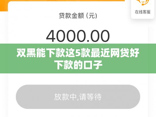 双黑能下款这5款最近网贷好下款的口子