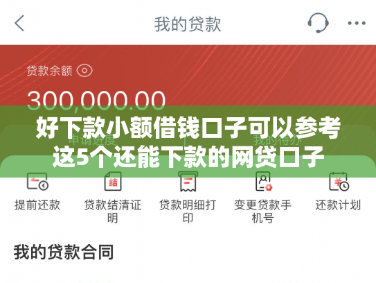 好下款小额借钱口子可以参考这5个还能下款的网贷口子