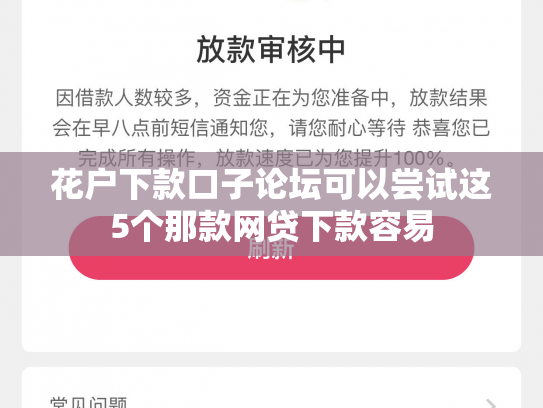 花户下款口子论坛可以尝试这5个那款网贷下款容易