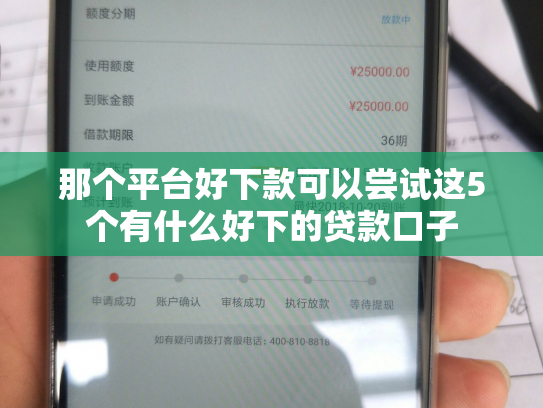 那个平台好下款可以尝试这5个有什么好下的贷款口子