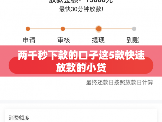 两千秒下款的口子这5款快速放款的小贷
