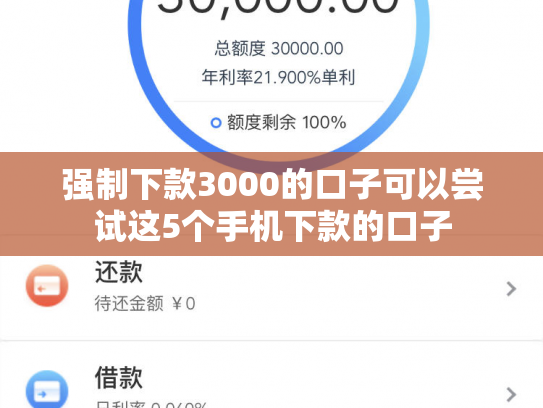 强制下款3000的口子可以尝试这5个手机下款的口子