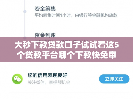 大秒下款贷款口子试试看这5个贷款平台哪个下款快免审