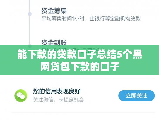 能下款的贷款口子总结5个黑网贷包下款的口子