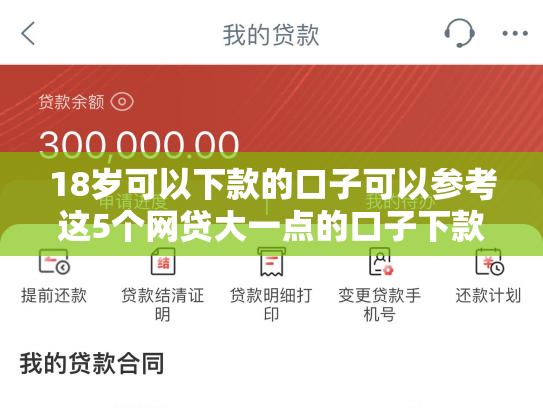 18岁可以下款的口子可以参考这5个网贷大一点的口子下款快的