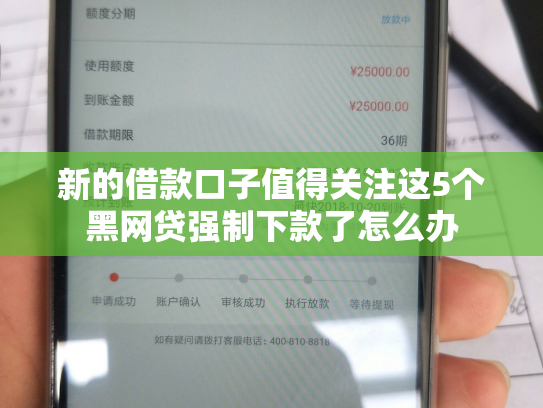 新的借款口子值得关注这5个黑网贷强制下款了怎么办