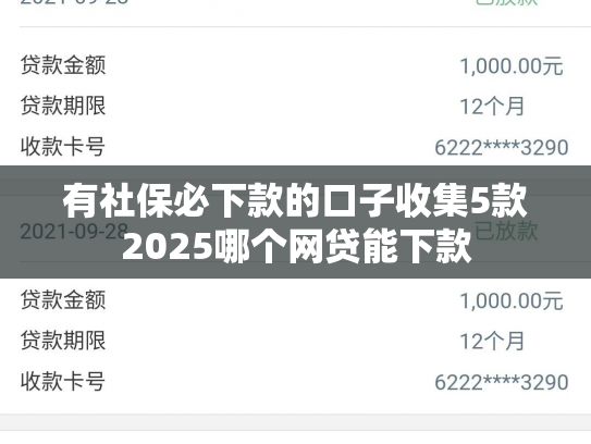 有社保必下款的口子收集5款2025哪个网贷能下款