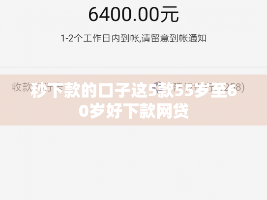 秒下款的口子这5款55岁至60岁好下款网贷