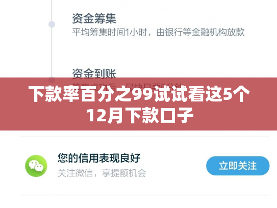 下款率百分之99试试看这5个12月下款口子