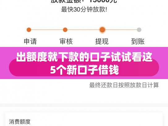 出额度就下款的口子试试看这5个新口子借钱