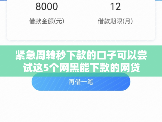 紧急周转秒下款的口子可以尝试这5个网黑能下款的网贷