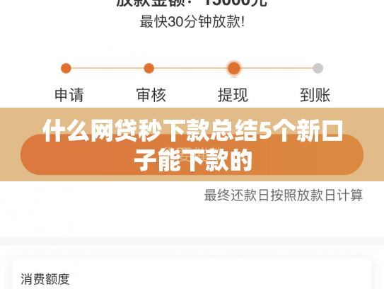 什么网贷秒下款总结5个新口子能下款的