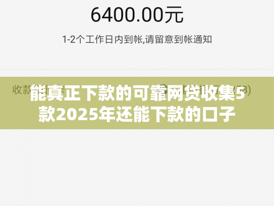 能真正下款的可靠网贷收集5款2025年还能下款的口子