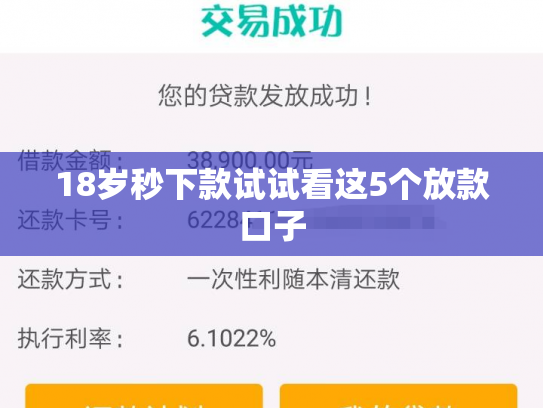 18岁秒下款试试看这5个放款口子
