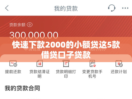 快速下款2000的小额贷这5款借贷口子贷款