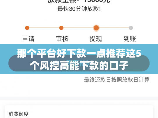那个平台好下款一点推荐这5个风控高能下款的口子