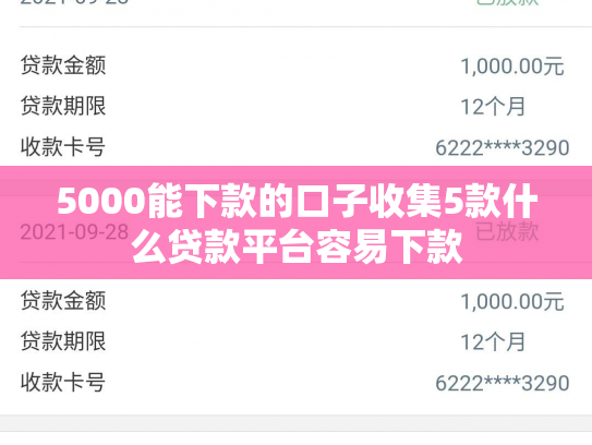 5000能下款的口子收集5款什么贷款平台容易下款