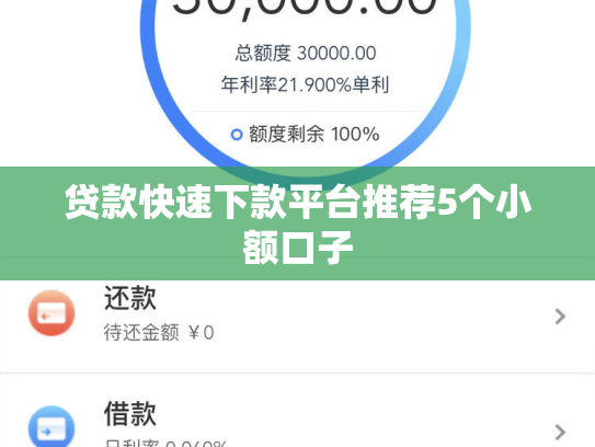 贷款快速下款平台推荐5个小额口子