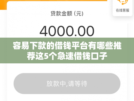 容易下款的借钱平台有哪些推荐这5个急速借钱口子