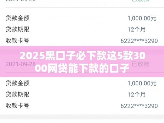 2025黑口子必下款这5款3000网贷能下款的口子