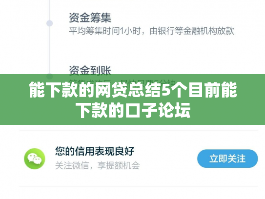 能下款的网贷总结5个目前能下款的口子论坛