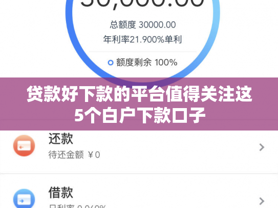 贷款好下款的平台值得关注这5个白户下款口子