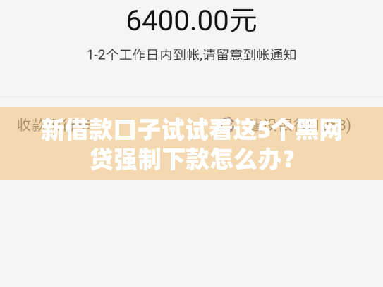 新借款口子试试看这5个黑网贷强制下款怎么办？