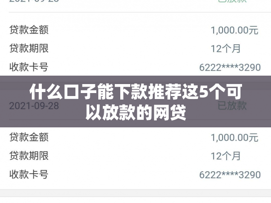 什么口子能下款推荐这5个可以放款的网贷