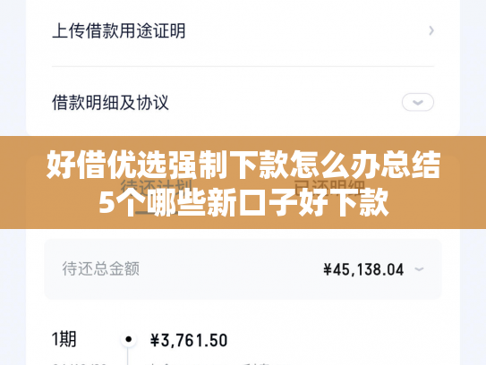 好借优选强制下款怎么办总结5个哪些新口子好下款