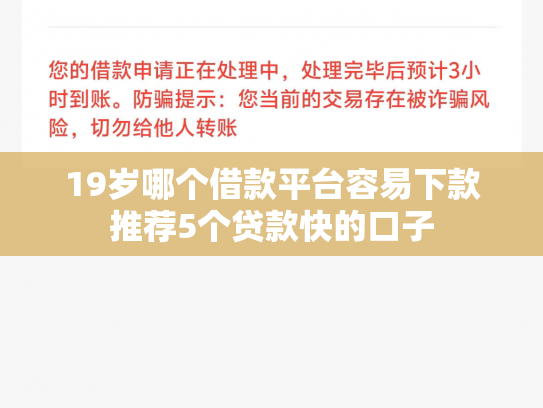 19岁哪个借款平台容易下款推荐5个贷款快的口子